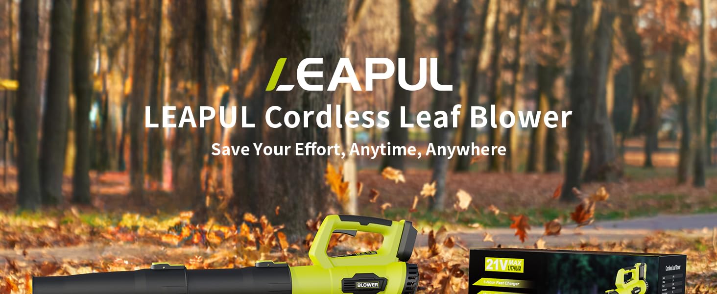LEAPUL photo 1
